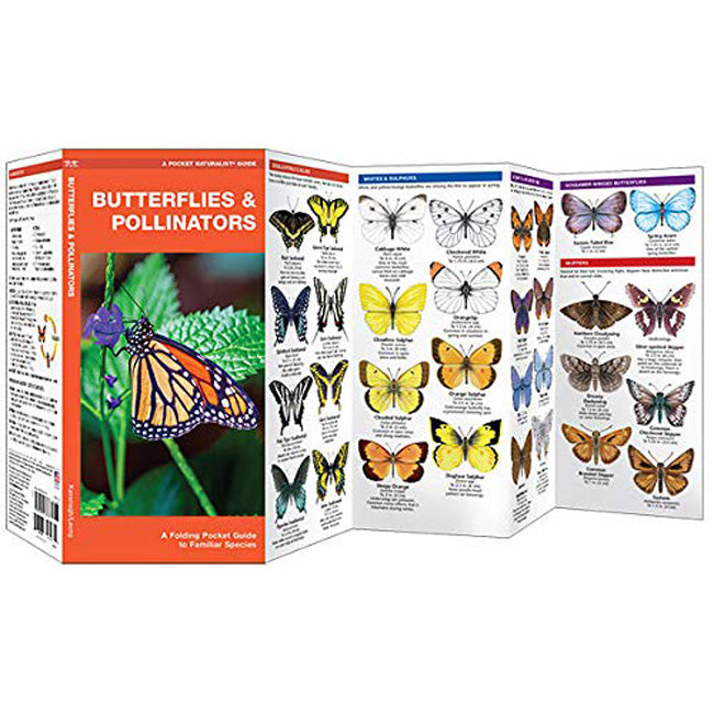 Waterford Press Butterflies & Pollinators Booklet