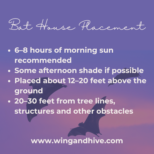 Bat House, The Twilight Tower | Pollinator Shelter in Cedar | Wing and Hive