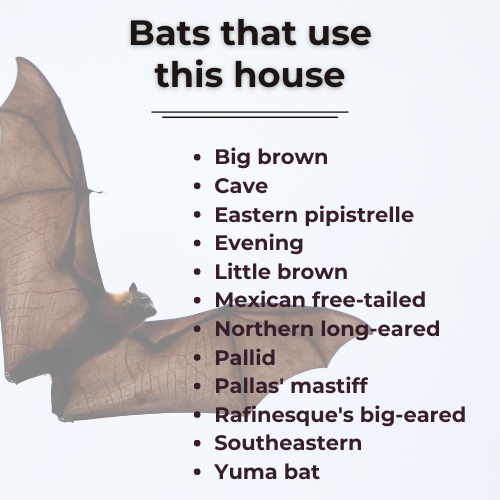 Bat House, The Recycled Plastic Triple-Cell (sized for up to 40 bats)