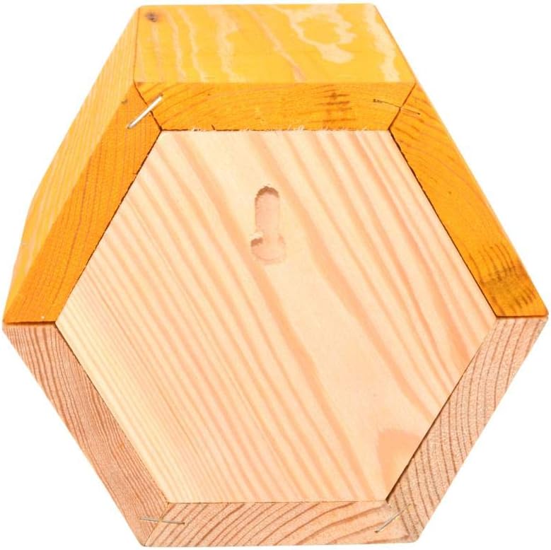 Bee Nesting House - The Hexagon