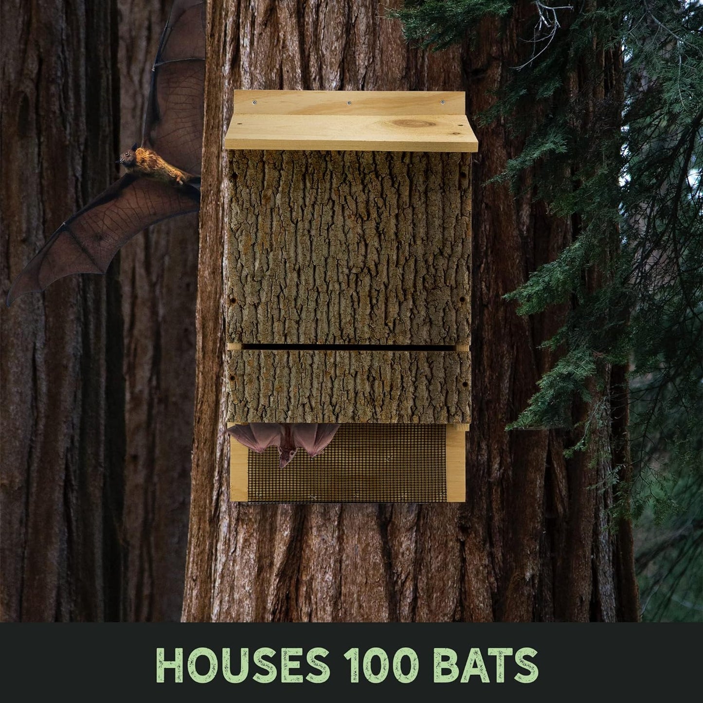 Bat House, Uncle Dunkel's Single Chamber (sized for up to 100 bats)