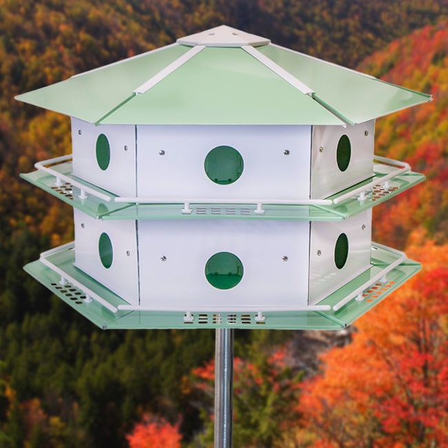 Purple Martin House, Martin Heights view mounted on pole outside