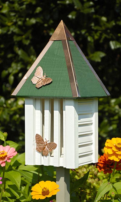 Butterfly Home, The Elegant and Colorful Ones